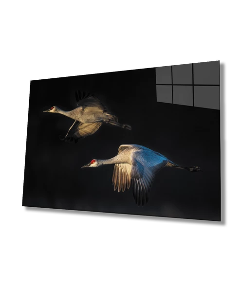 Leylek Hayvan Dekoratif ve Modern Cam Tablo ürün görseli