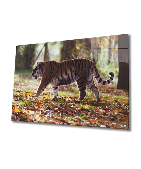Kaplan Dekoratif ve Modern Cam Tablo