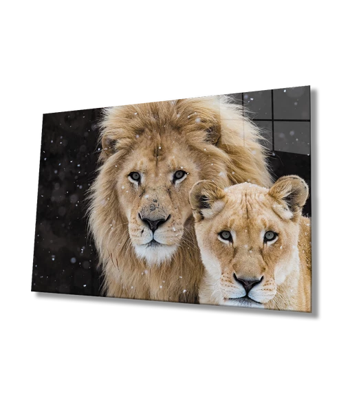 Aslan Dekoratif ve Modern Cam Tablo ürün görseli
