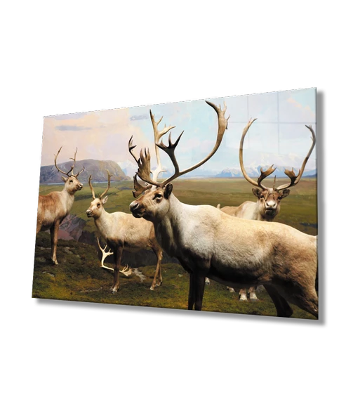 Geyik Hayvan Dekoratif ve Modern Cam Tablo ürün görseli