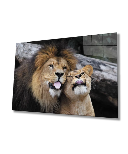Aslan Dekoratif ve Modern Cam Tablo ürün görseli