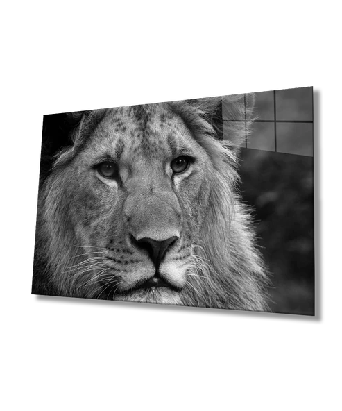 Aslan Dekoratif ve Modern Cam Tablo ürün görseli