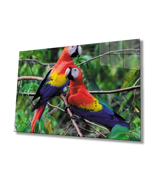 Papağan Dekoratif ve Modern Cam Tablo ürün görseli