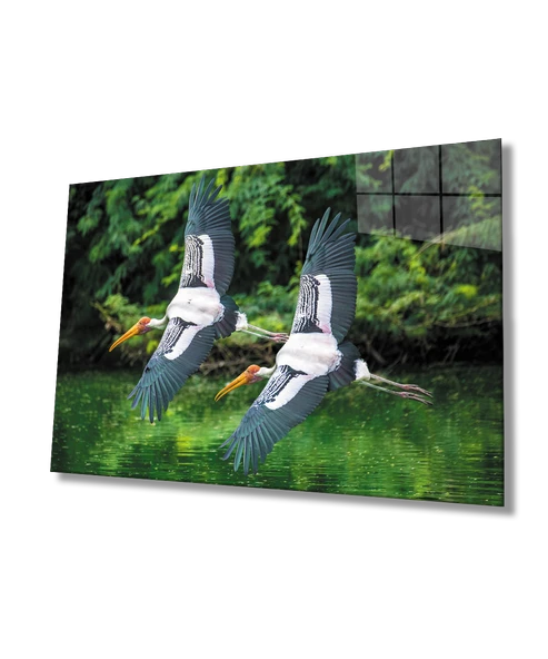 Leylek Hayvan Manzara Dekoratif ve Modern Cam Tablo