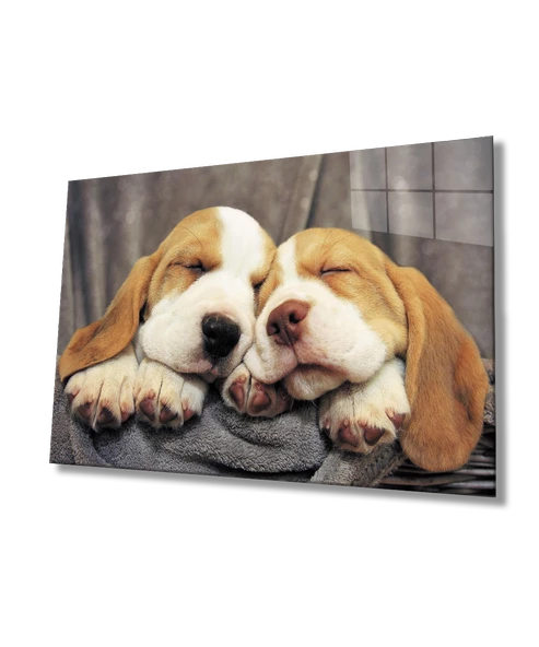 Uyuyan Köpekler Dekoratif ve Modern Cam Tablo