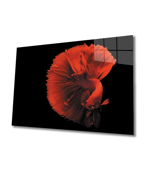 Kırmızı Balık Dekoratif ve Modern Cam Tablo ürün görseli