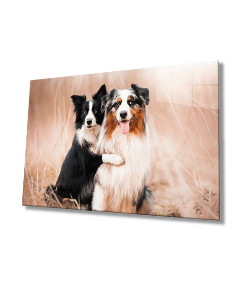 Köpekler Dekoratif ve Modern Cam Tablo