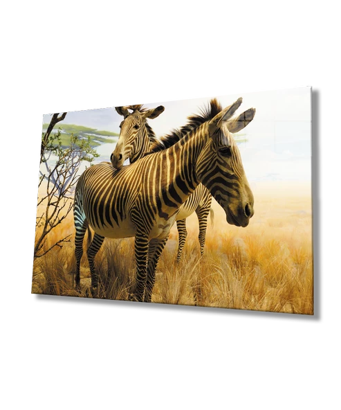 Zebra Hayvan Dekoratif ve Modern Cam Tablo ürün görseli