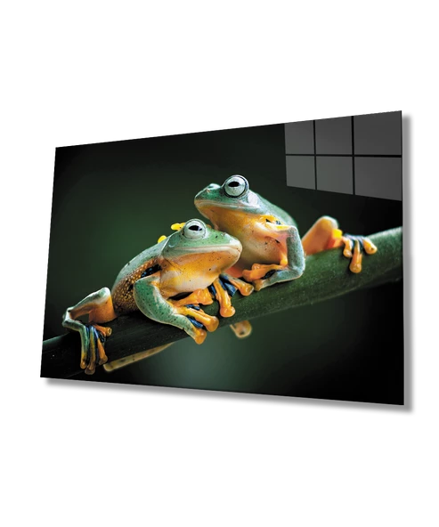 Kurbağa Dekoratif ve Modern Cam Tablo ürün görseli