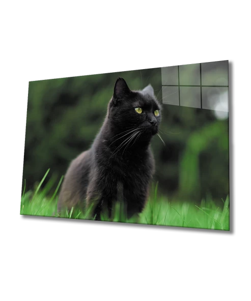 Kedi Dekoratif ve Modern Cam Tablo ürün görseli