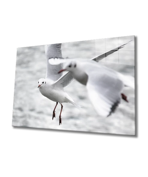 Martı Dekoratif ve Modern Cam Tablo