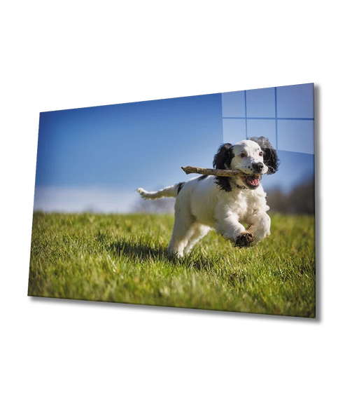 Köpek  Dekoratif ve Modern Cam Tablo
