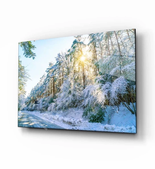 Doğa Dekoratif ve Modern Cam Tablo