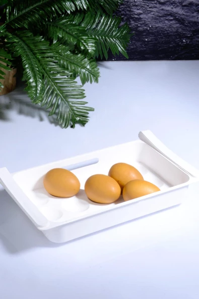 Eggo Pratik Geçmeli Mandallı Raf Yumurtalık 15'li Dolap Içi Yumurta Saklama Kutusu - 2