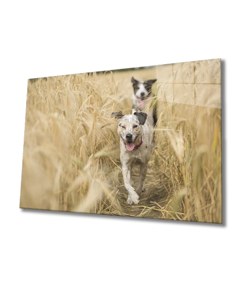 Köpek Dekoratif ve Modern Cam Tablo - 2