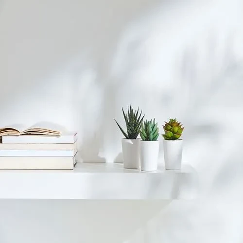 SUMUHOME FEJKA SAKSILI YAPAY BİTKİ KAKTÜS 6 CM 3 ADET - 5