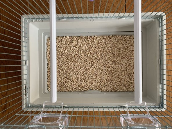 Kafes Kuşları İçin, Kafes Taban Malzemesi - Mısır Granülü (1 Kg) - 2