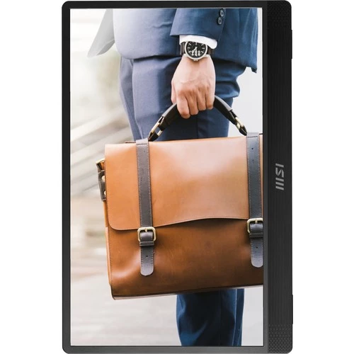 MSI 15.6" PRO MP161 E2 1920x1080 (FHD) 16:9 FLAT IPS 60HZ 4MS ADAPTIVE-SYNC PORTATIF MONITOR - 2