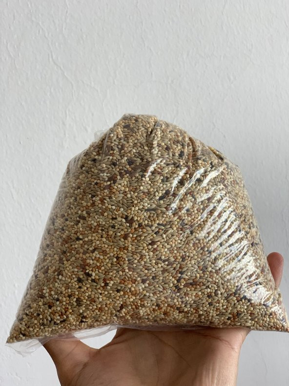 Muhabbet Kuşları İçin Akıllı yemlik + Premium Kalite Muhabbet Kuşu Yemi ( 1 kg ) - 3