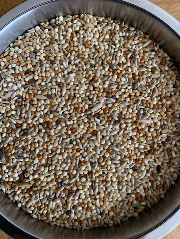 Muhabbet Kuşları İçin Akıllı yemlik + Premium Kalite Muhabbet Kuşu Yemi ( 1 kg ) - 5