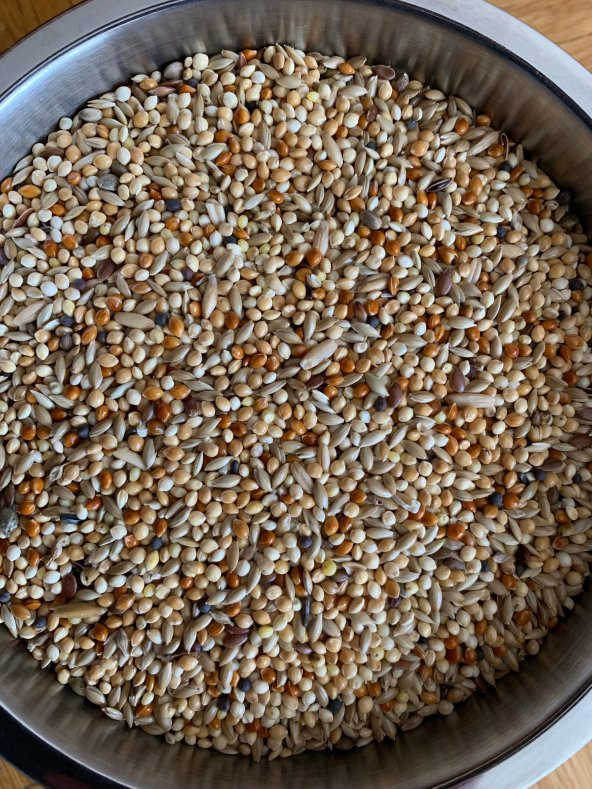 Vivid Bird Premium Muhabbet Kuşu Yemi ( 1 Kg ) - 2