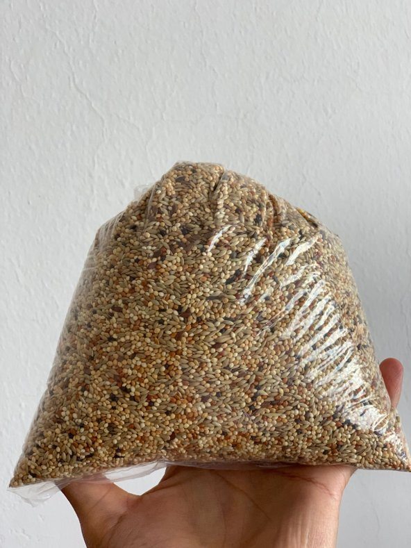 Vivid Bird Premium Muhabbet Kuşu Yemi ( 1 Kg ) - 3