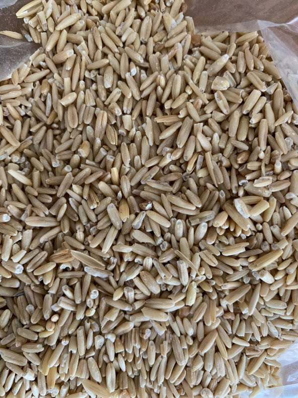 Muhabbet Kuşları İçin Soyulmuş Yulaf ( 0,5 kg )