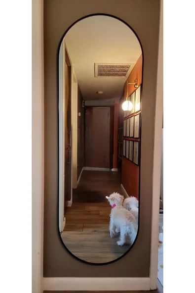 ant home Model Alfa Dekoratif Ayna Boy Aynası Mdf 180cm X 62 Cm Elips Ayna - Resim 3