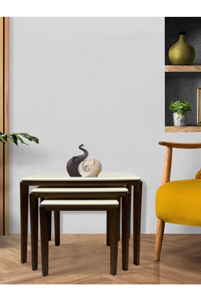 ant home LİKA ZİGON SEHPA 3'LÜ LAKE BOYALI - 4