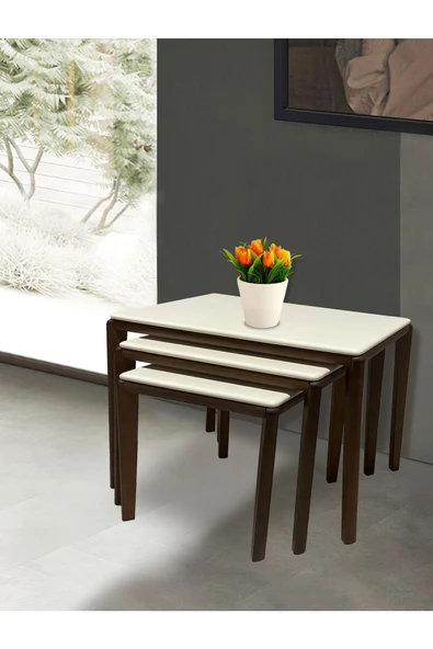 ant home LİKA ZİGON SEHPA 3'LÜ LAKE BOYALI - 3