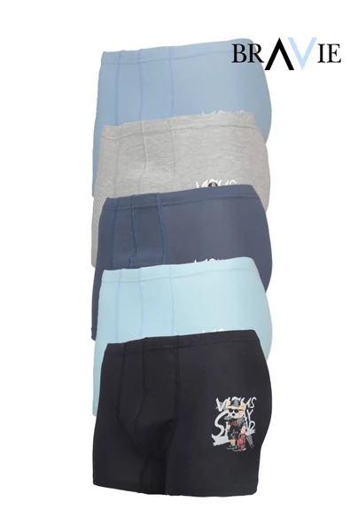 Bravie Ayı Resimli Renkli Erkek Çocuk Boxer - 2