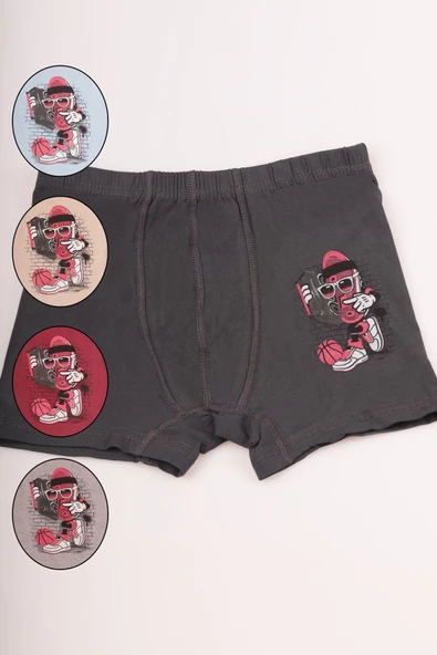 Bravie Renkli Resimli Erkek Çocuk Boxer - 3