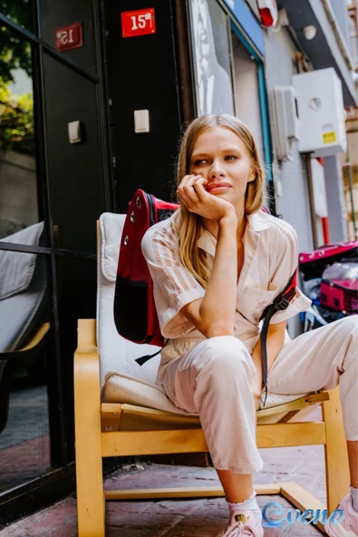 Evene Mavi Kedi Taşıma Çantası Şeffaf Büyük Boy Uçak Için Uygun Hava Alan Su Geçirmez 2 Tarafı Açılır Sırt - Resim 6