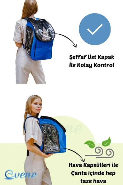 Evene Gri Kedi Taşıma Çantası Şeffaf Orta Boy Uçak Için Uygun Hava Alan Kapsüllü Su Geçirmez Sırt Çantası - Resim 4