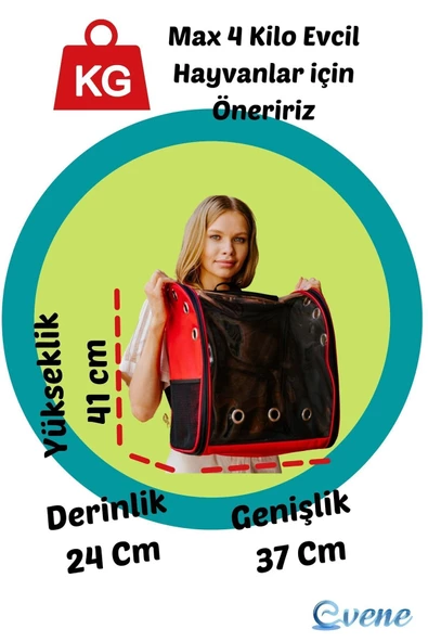 Evene Kırmızı Kedi Taşıma Çantası Şeffaf Büyük Boy Uçak Için Uygun Hava Alan Su Geçirmez 2 Tarafı Açılır S - 2