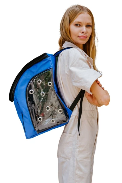 Evene Mavi Kedi Taşıma Çantası Şeffaf Orta Boy Uçak Için Uygun Hava Alan Kapsüllü Su Geçirmez Sırt Çantası ürün görseli 1