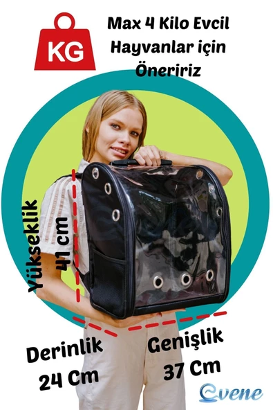 Evene Siyah Kedi Taşıma Çantası Şeffaf Büyük Boy Uçak Için Uygun Hava Alan Su Geçirmez 2 Tarafı Açılır Sır - Resim 2