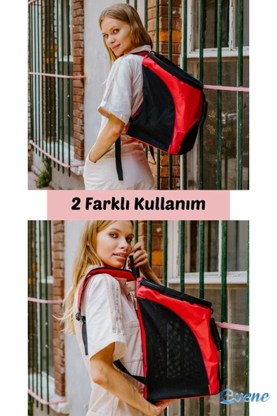 Evene Kırmızı Kedi Taşıma Çantası Siyah Fileli Küçük Boy Uçak Için Uygun Hava Alan Sırt Çantası - 3