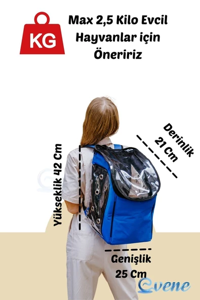 Evene Mavi Kedi Taşıma Çantası Şeffaf Orta Boy Uçak Için Uygun Hava Alan Kapsüllü Su Geçirmez Sırt Çantası - Resim 2