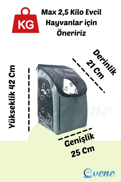 Evene Gri Kedi Taşıma Çantası Şeffaf Orta Boy Uçak Için Uygun Hava Alan Kapsüllü Su Geçirmez Sırt Çantası - Resim 2