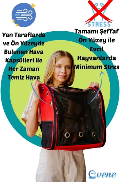 Evene Mavi Kedi Taşıma Çantası Şeffaf Büyük Boy Uçak Için Uygun Hava Alan Su Geçirmez 2 Tarafı Açılır Sırt - Resim 5