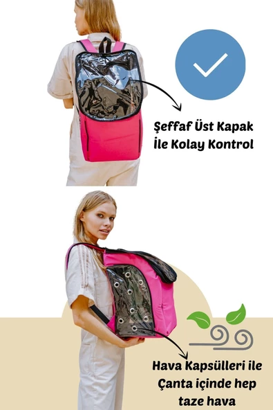 Evene Kırmızı Kedi Taşıma Çantası Şeffaf Orta Boy Uçak Için Uygun Hava Alan Kapsüllü Su Geçirmez Sırt Çant - Resim 5