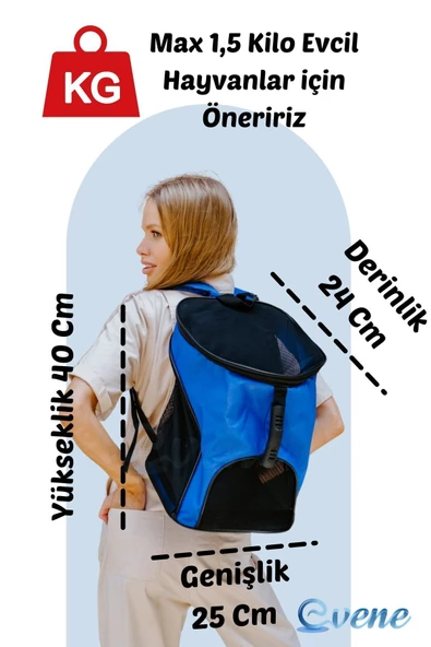 Evene Mavi Kedi Taşıma Çantası Siyah Fileli Küçük Boy Uçak Için Uygun Hava Alan Sırt Çantası - Resim 2