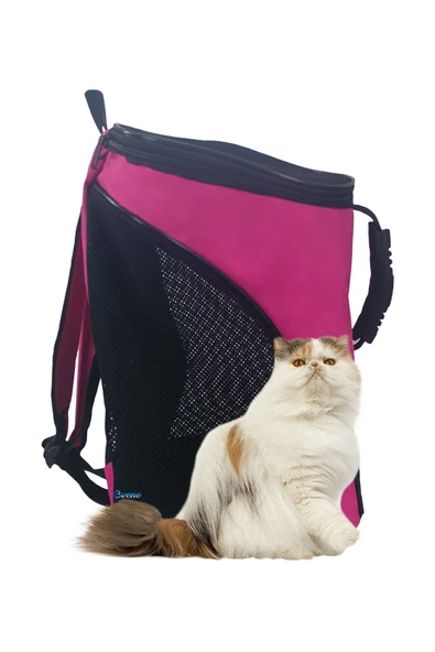 Evene Pembe Kedi Taşıma Çantası Siyah Fileli Küçük Boy Uçak Için Uygun Hava Alan Sırt Çantası
