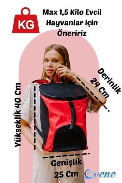 Evene Kırmızı Kedi Taşıma Çantası Siyah Fileli Küçük Boy Uçak Için Uygun Hava Alan Sırt Çantası - 2