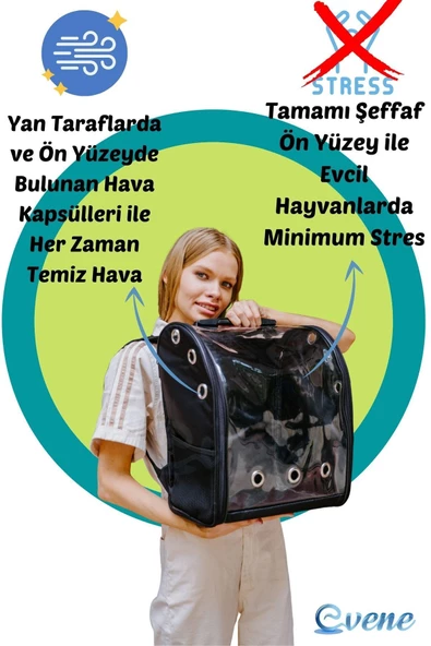 Evene Siyah Kedi Taşıma Çantası Şeffaf Büyük Boy Uçak Için Uygun Hava Alan Su Geçirmez 2 Tarafı Açılır Sır - Resim 4