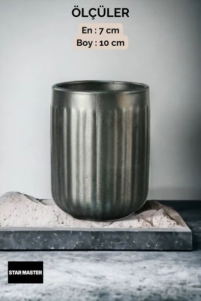 Star Master Diş Fırçası Kabı Diş Fırçalığı Fırçalık Gümüş Eskitme Renk Model 11 - Resim 3