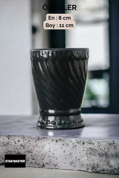 Star Master Diş Fırçası Kabı Diş Fırçalığı Fırçalık Siyah Renk Model 14 - Resim 3