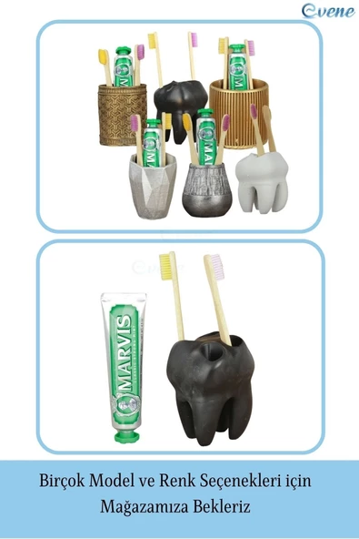 Evene Diş Fırçalığı Tezgah Üstü Siyah Renk Diş Fırçası Standı Diş Şekilli Model - Resim 6