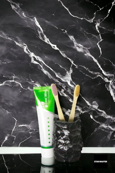 Star Master Diş Fırçası Kabı Diş Fırçalığı Fırçalık Siyah Renk Model 16 - Resim 2